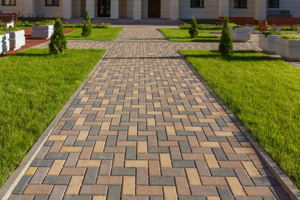 Best Driveway Paving Near Me  in Oroville East, CA